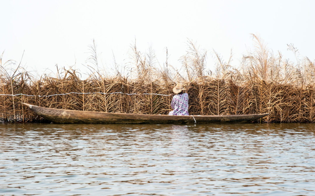 Le Canada annonce un projet sexotransformateur de conservation du bassin du lac Tchad