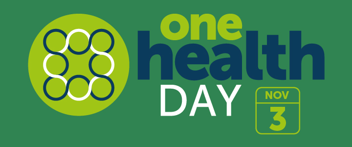 One Health Day: Building a community-focused, gender-responsive system